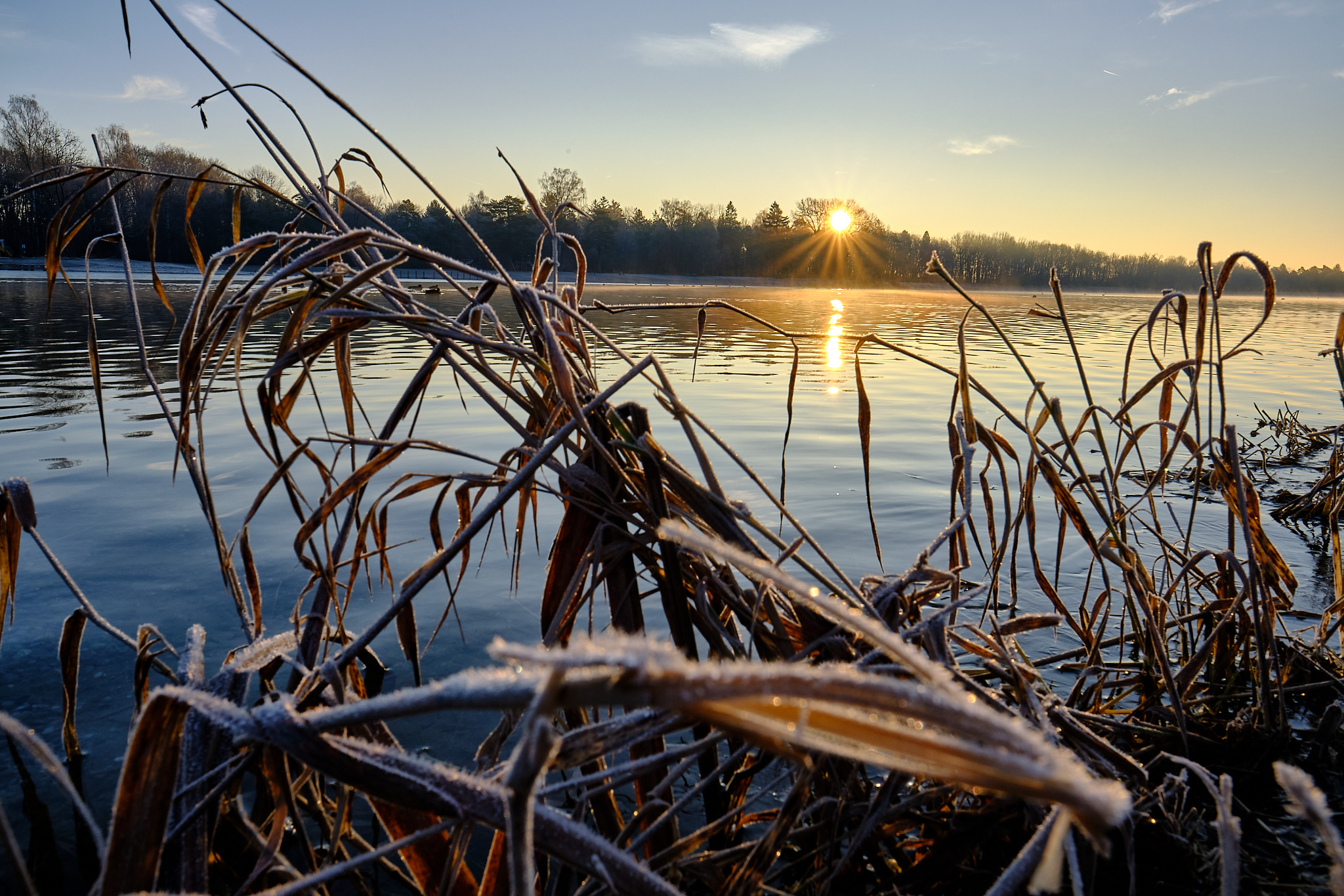 Kuhsee Christian Burghardt Fotografie